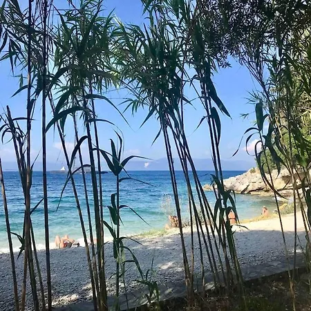 Apartment The Old House